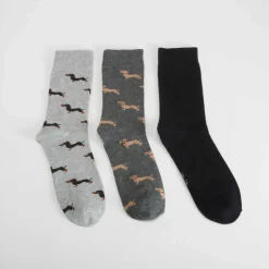 Pack 3 calcetines perros gris MERKAL