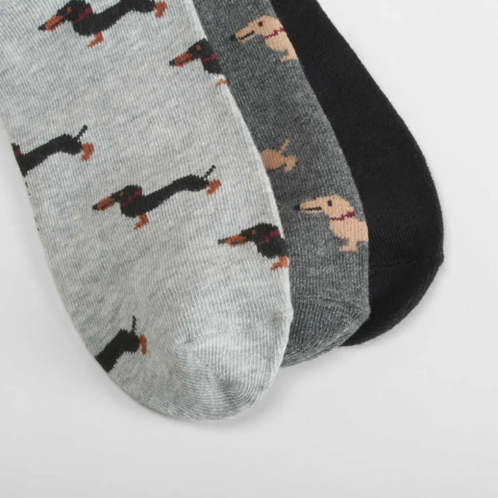 Pack 3 calcetines perros gris MERKAL